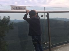 -铁山坪森林公园