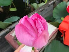 -铁道游击队纪念馆