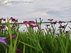 -天屿湖