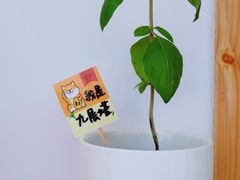 -呷贺盐酥鸡(抄纸巷店)
