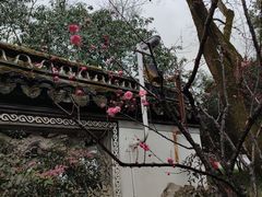 -秋霞圃