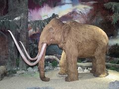 -抚顺煤矿博物馆