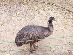 -石家庄市动物园