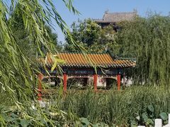 -武清南湖绿博园