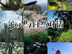 -西湖文化广场