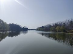 -合肥滨湖国家森林公园