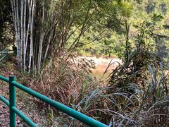 -桂山风景旅游区