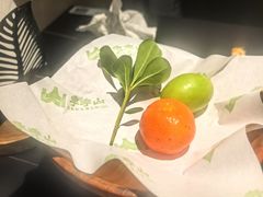 -季季山·云南野生菌火锅(上海首店)