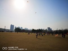 -沙澧河风景区