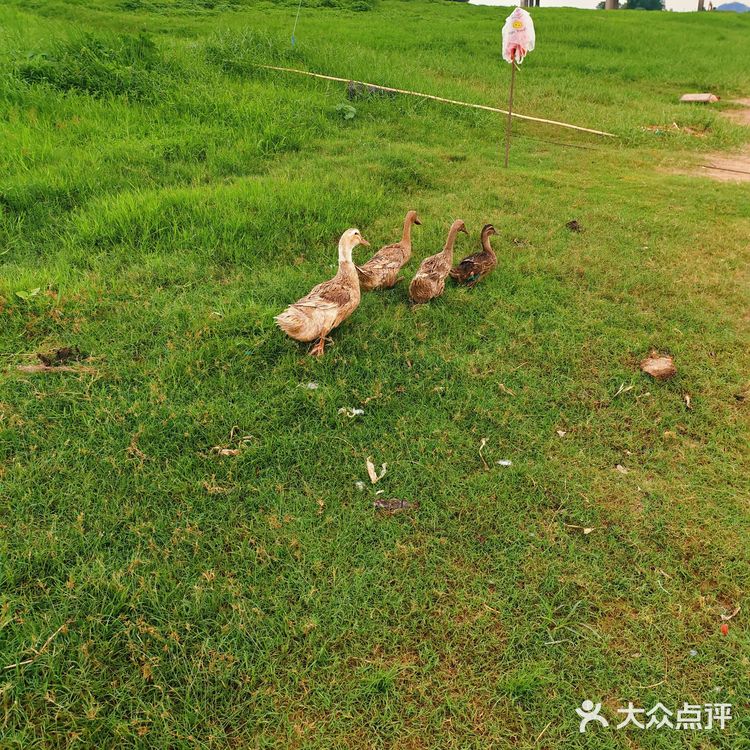 佛山三水区一日游[吐]