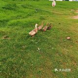 佛山三水区一日游[吐]