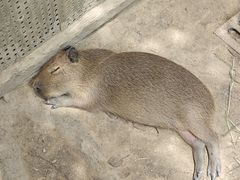 -宁波野生动物园