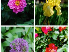 -国家植物园南园