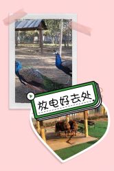 -萌宠亲子动物乐园(槐房万达店)