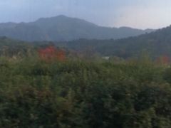 -塔川景区
