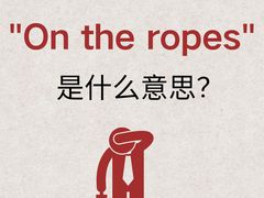 -联恩国际儿童教育·幼小衔接·少儿英语·托管班(远洋未来中心店)