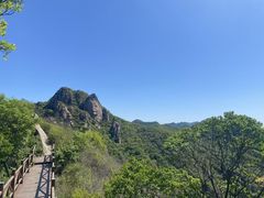 -大岭沟猕猴桃谷风景区