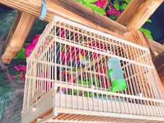 大堂-草原塞蛮羊火锅城(港湾店)