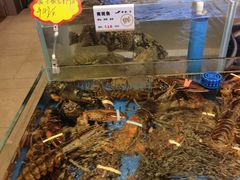 -船歌·鱼水饺青岛菜(闽江二路店)