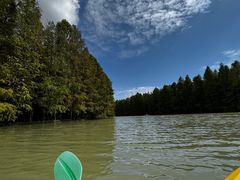 -上海海湾国家森林公园