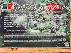 -海南热带雨林国家公园吊罗山景区