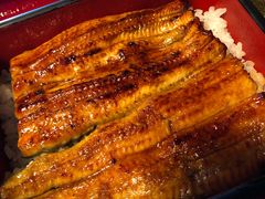 -料亭菊水楼