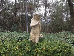 -天目湖涵田半山温泉