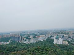 -杭州半山国家森林公园