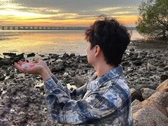 -宝安西湾红树林湿地公园