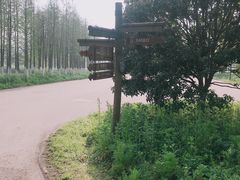 -乌村