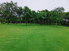 -深圳湾公园(南山区)
