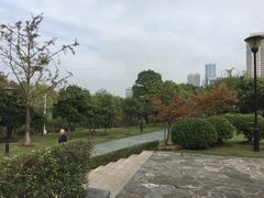 -月湖风景区