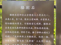 -阳台山自然风景区