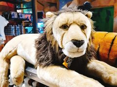 -珠海横琴国家地理探险家中心(创新方)