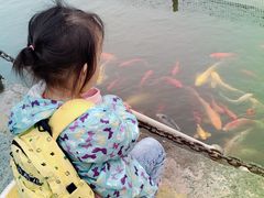 -无锡动物园·太湖欢乐园