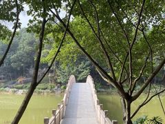 -铁山坪森林公园