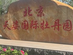 -太阳宫公园