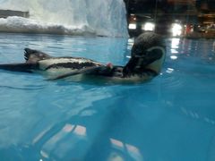 -广东省拱北口岸中国旅行社(华宾营业部)