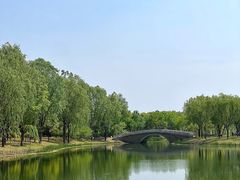 -东郊湿地公园
