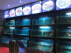 水产区-大鸽饭(马王堆店)