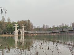 -东湖落雁景区