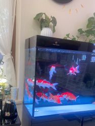 -悦颜美佳·美容·美甲美睫