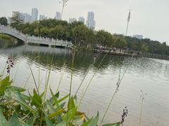 -映月湖公园