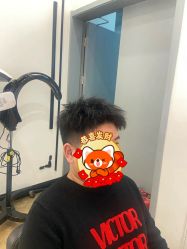 -YESIDO椰岛造型