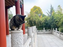 -天龙宝严素食馆(大兴善寺店)