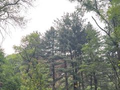 -萨尔浒风景区