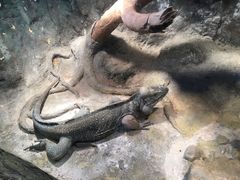 -南昌海洋公园