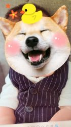 -亲吻宝贝儿童摄影