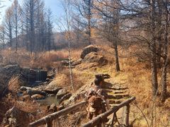 -阿尔山市大兴安岭奥伦布坎景区