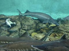 -太平洋海底世界